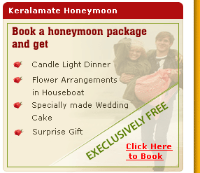 Kerala Honeymoon Packages